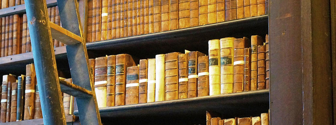 Books in library shelving. Photo by Sophie Meunier